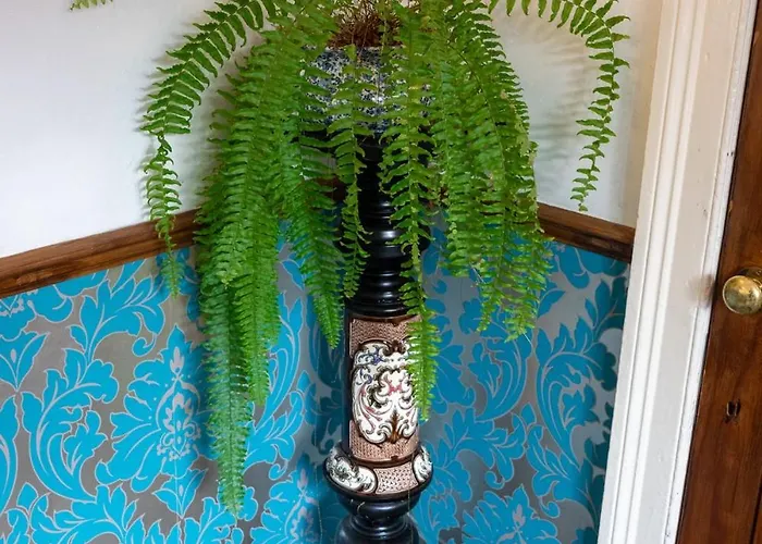 Semesterbostad The House At Crooked End - Sleeps 8 York