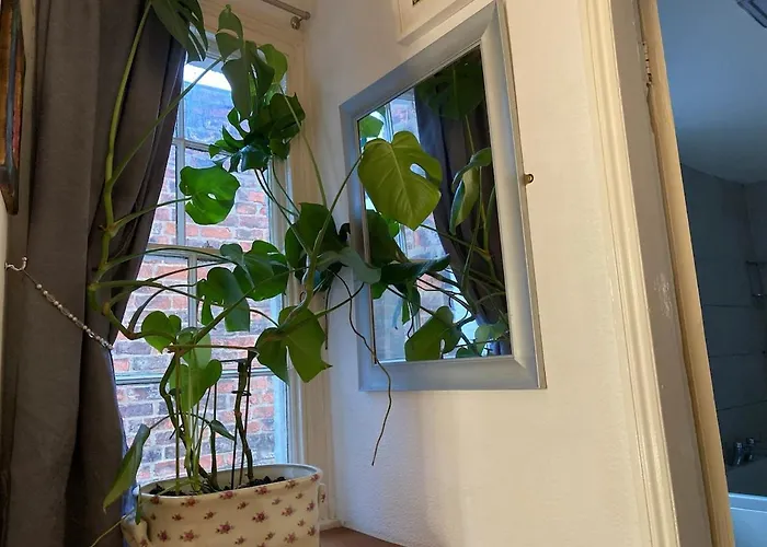 The House At Crooked End - Sleeps 8 * York