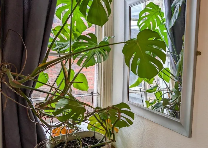 Prázdninový dům The House At Crooked End - Sleeps 8