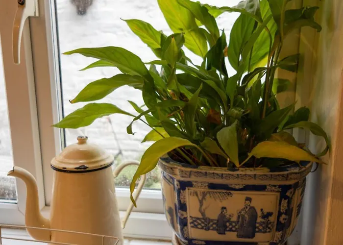 The House At Crooked End - Sleeps 8 Prázdninový dům